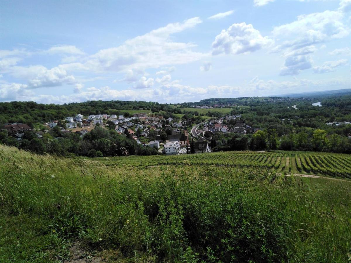 Ferienwohnung Wisser- Fernblick Bad Bellingen Exteriör bild
